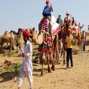 royal rajasthan tour